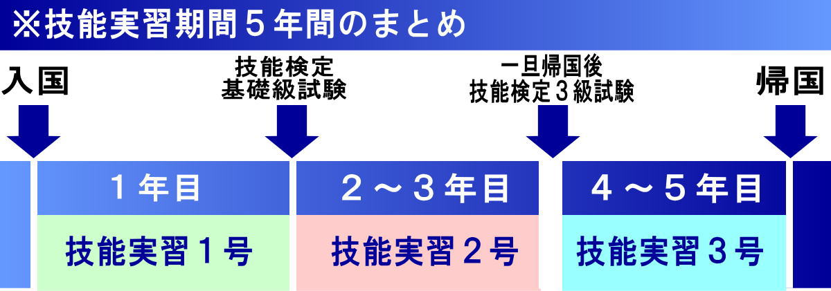 5年間のまとめ